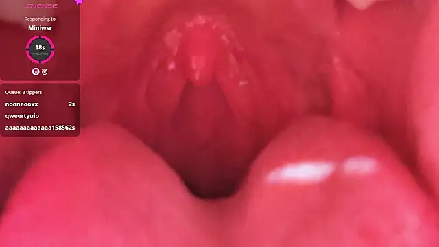 LT-333 online show from 02-26-26, 05:24