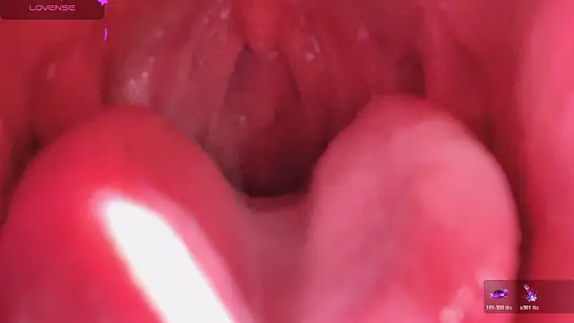 Snapshot of LT-333 chatting on 03-06-26, 02:56 LT-333 online show from 03-06-26, 02:56