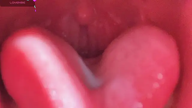 LT-333 online show from 02-25-26, 05:13