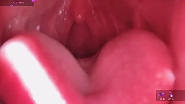 LT-333 online show from 02-13-26, 06:02