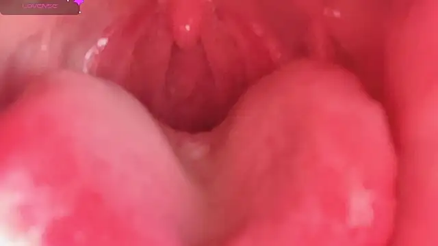 LT-333 online show from 02-10-26, 04:39