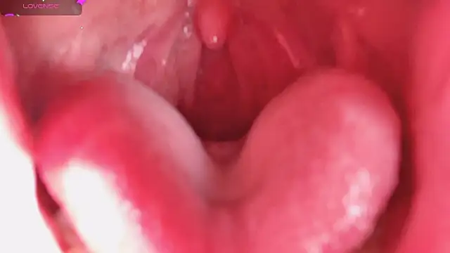 LT-333 online show from 02-05-26, 08:26