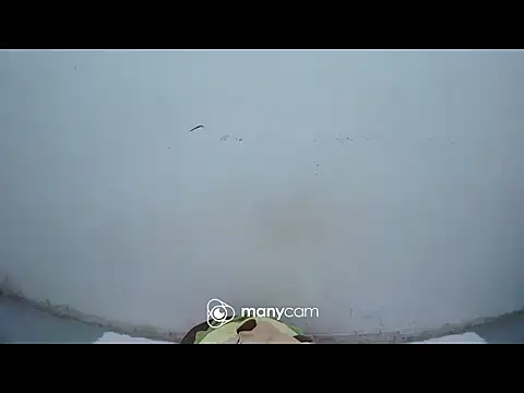 hottiemama69 online show from 04-15-26, 09:48