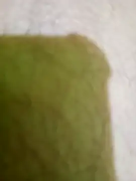 hectorpuga9 online show from 03-05-26, 10:48