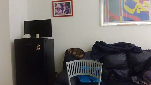 AMIRDIB2025 online show from 04-18-26, 12:24