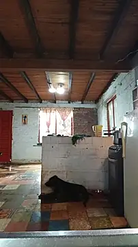 ChanneldelaCroix online show from 03-12-26, 01:37