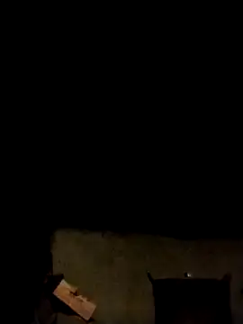 LeoPet2x online show from 02-11-26, 01:44