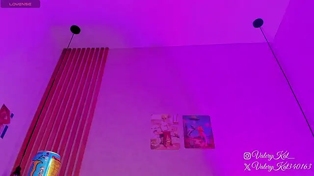 Snapshot of Valerykat_ chatting on 02-13-26, 11:32 Valerykat online show from 02-13-26, 11:32