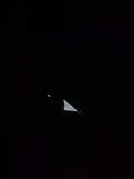 Junior3city online show from 04-23-26, 10:33