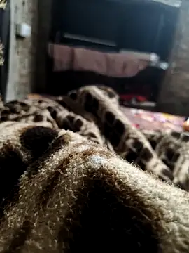 NEW CPL786 online show from 12-05-25, 02:43