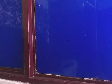 Snapshot of vrositaper chatting on 12-01-25, 09:15 vrositaper online show from 12-01-25, 09:15