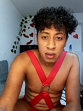 Varek biglatin dick online show from 01-12-26, 02:29