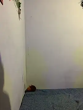 Arely-L1 online show from 02-09-26, 12:30