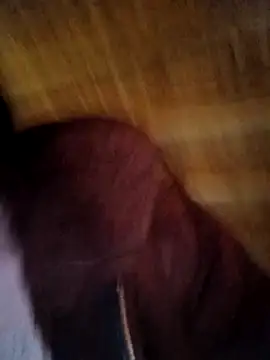 Evelyn-n online show from 02-11-26, 06:57