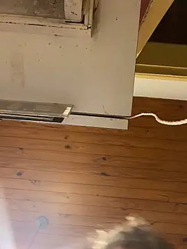 Petebulimia online show from 02-23-26, 04:40