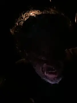 Petebulimia online show from 03-13-26, 01:54