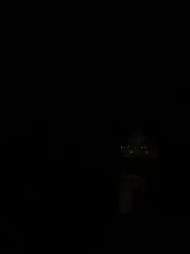 ValuedConcept687 online show from 02-03-26, 06:22