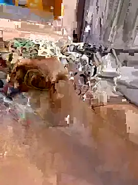 en93000 online show from 04-07-26, 05:42