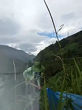Maiphu34 online show from 05-13-26, 12:50