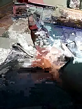 Snapshot of yacinekabiley16 chatting on 02-13-26, 12:49 yacinekabiley16 online show from 02-13-26, 12:49