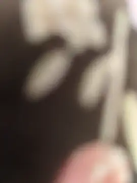 Miky Lyn online show from 01-13-26, 08:07