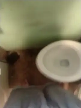 bigjohnson2914 online show from 03-13-26, 01:05