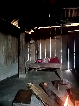 ava-dellght online show from 01-07-26, 02:16