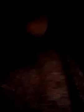 leto616 online show from 12-20-25, 11:40