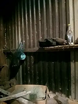 sary-hot2x online show from 01-07-26, 11:43