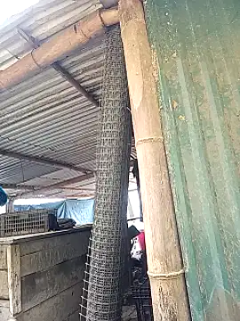 sary-hot2x online show from 03-01-26, 03:50