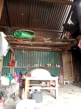 Snapshot of sary-hot2x chatting on 03-26-26, 05:17 sary-hot2x online show from 03-26-26, 05:17