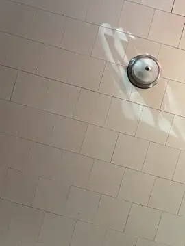 rosiebuddy online show from 03-09-26, 04:10