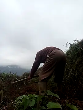 mon-monk online show from 12-17-25, 01:10