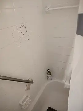 SpiderRose online show from 02-21-26, 02:08