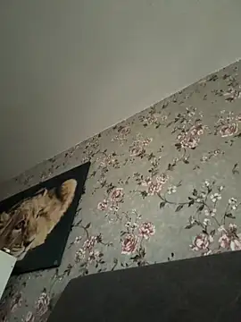 Alexmarcov online show from 04-19-26, 04:52