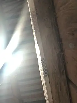 bae-asian online show from 04-08-26, 09:49