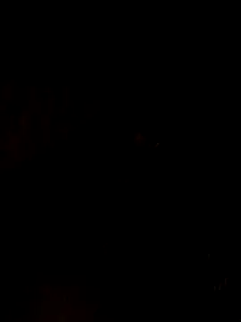 nehakapoor89 online show from 12-14-25, 07:41