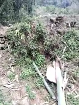 neko-nancy online show from 02-26-26, 07:08