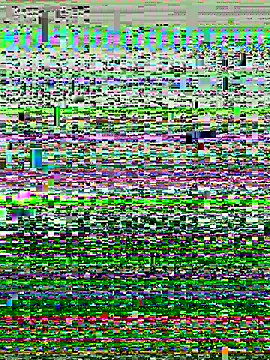 P0rco89 online show from 01-08-26, 11:00