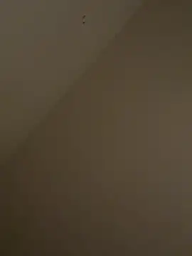 Snapshot of ToneTone2222 chatting on 05-01-26, 06:18 ToneTone2222 online show from 05-01-26, 06:18
