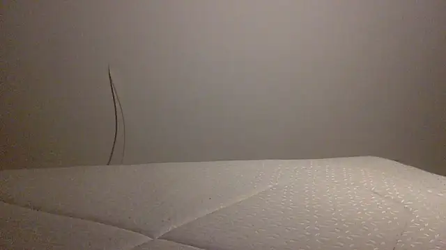 Snapshot of Palinchik chatting on 02-01-26, 10:41 Palinchik online show from 02-01-26, 10:41