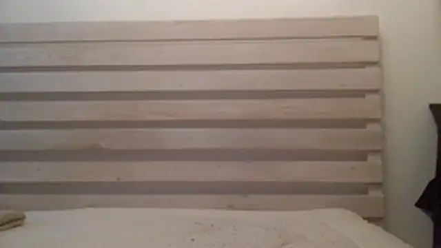 Palinchik online show from 03-12-26, 01:48