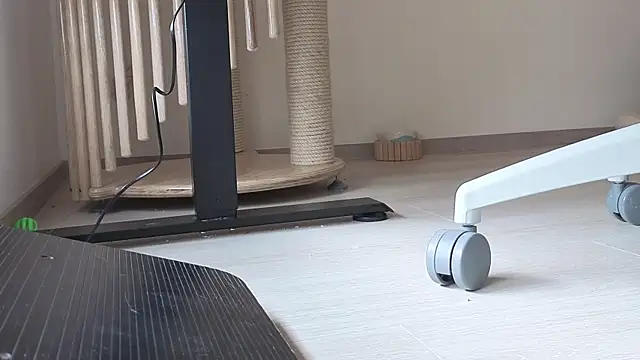 Feetbeth online show from 02-06-26, 07:21