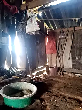 little-effy online show from 03-23-26, 01:06