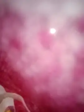 kusbu0077 online show from 02-19-26, 08:00