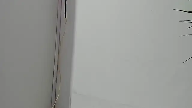 sebastamayo  online show from 02-26-26, 05:07