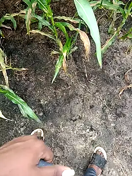 loki-king-143 online show from 02-24-26, 04:02