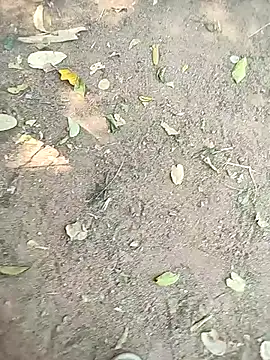 loki-king-143 online show from 01-13-26, 05:55