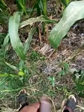 loki-king-143 online show from 03-09-26, 09:46