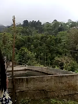  CTMay 77 online show from 04-01-26, 04:03